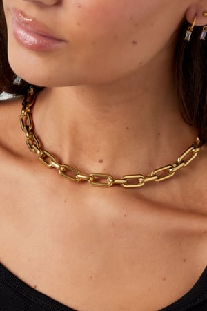 necklace elongated links with charms h5 Picture3